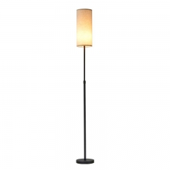 Modern Floor Lamp/Iron