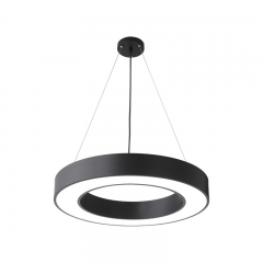 Black Shell Hollow Iron Acrylic 220V Pendant Light for Living Room Bedroom